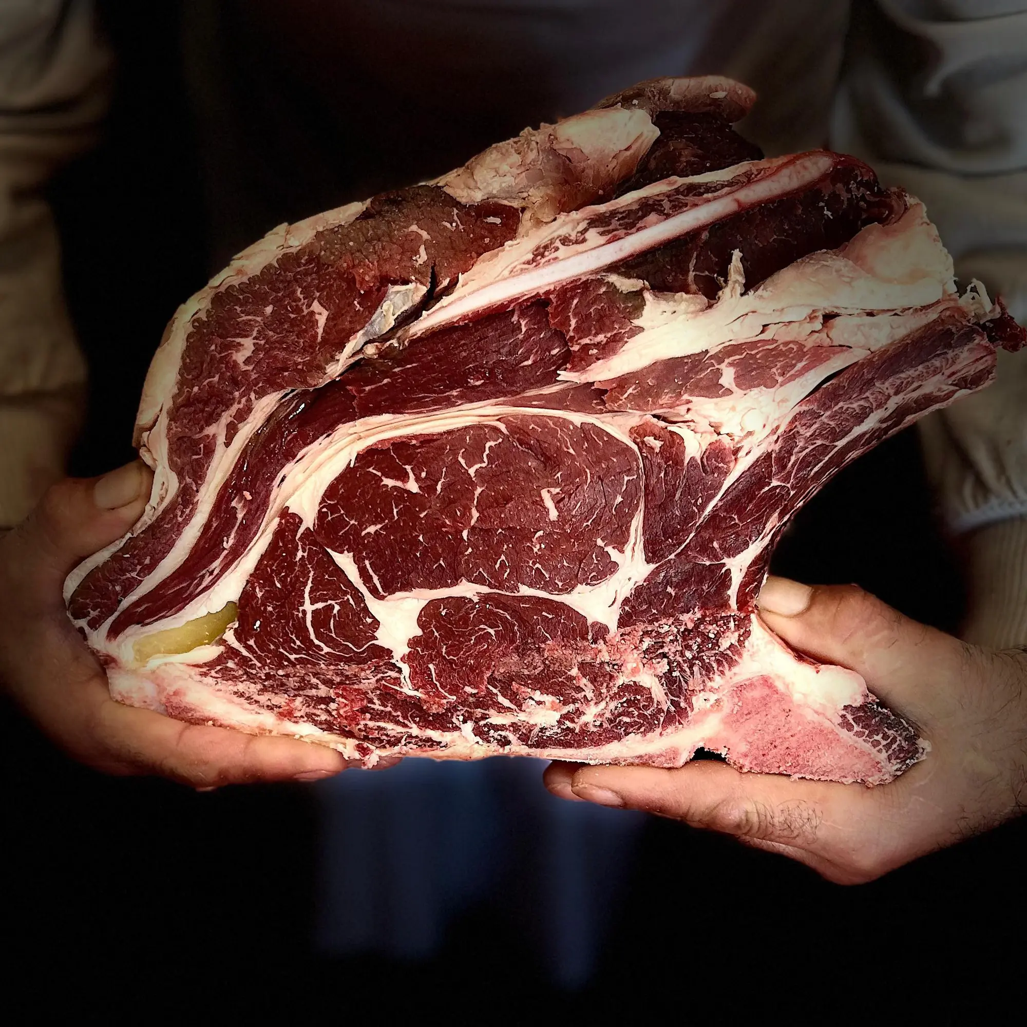 Race bovine Angus — Ferme des Trèfles