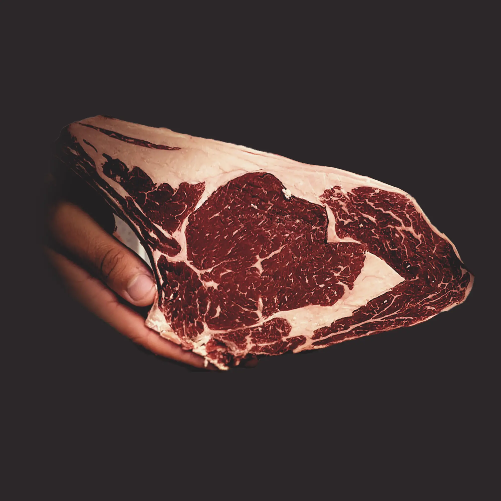 Race bovine Baltique Gold
