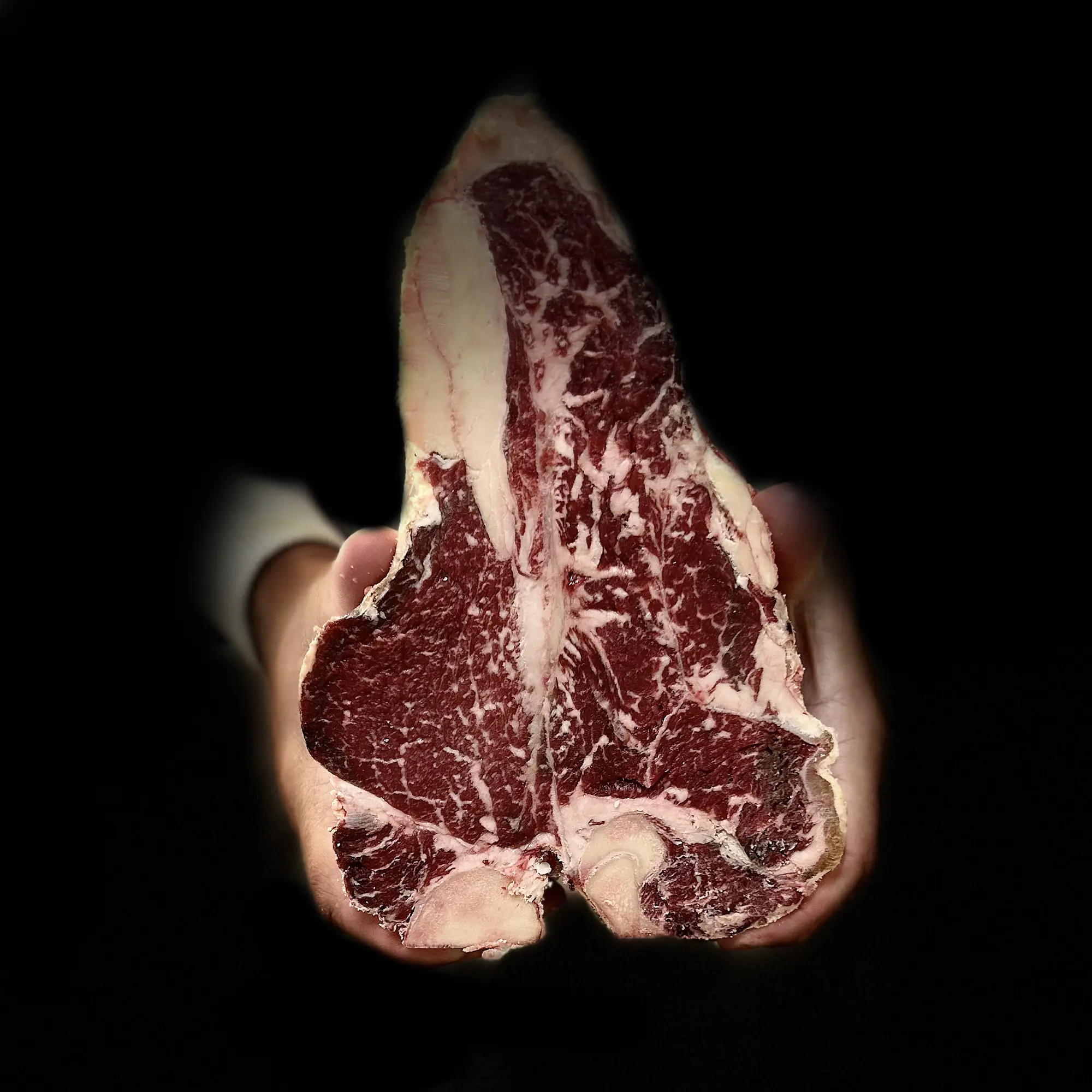 Race bovine Hereford France