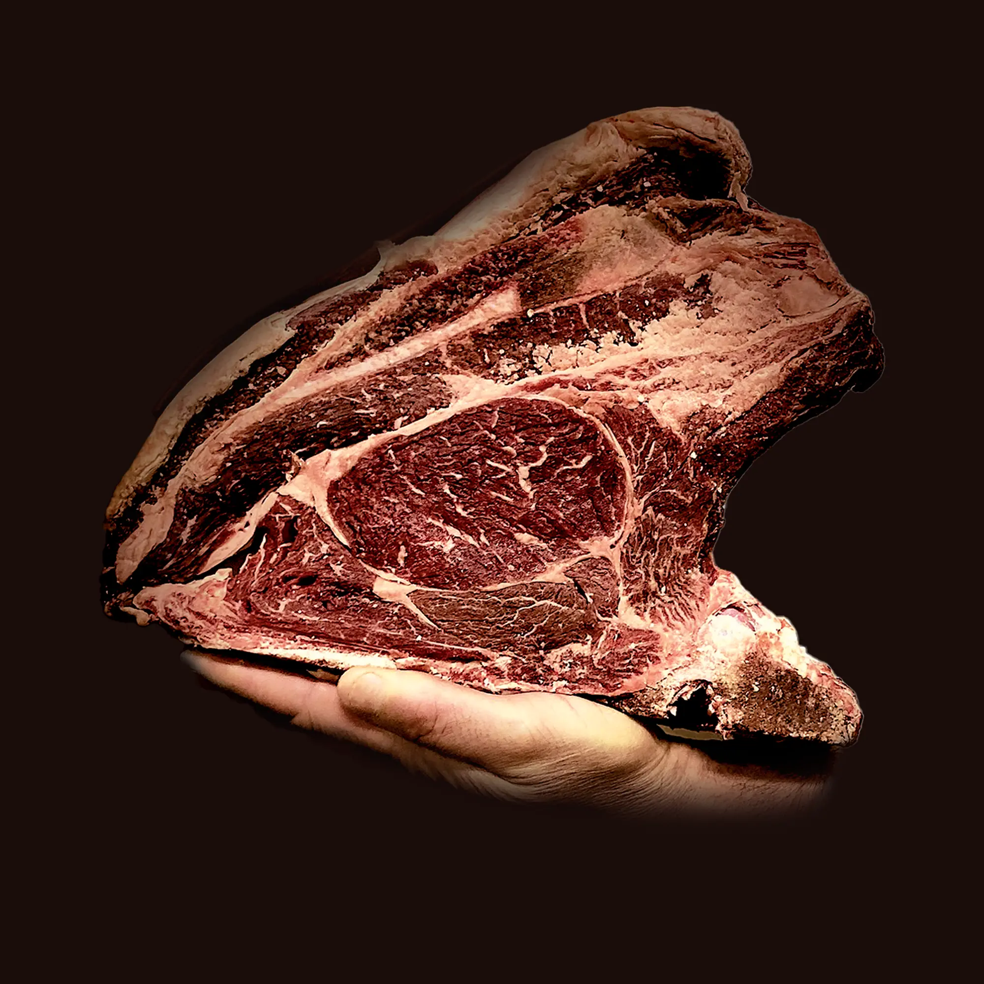 Race bovine Jersiaise