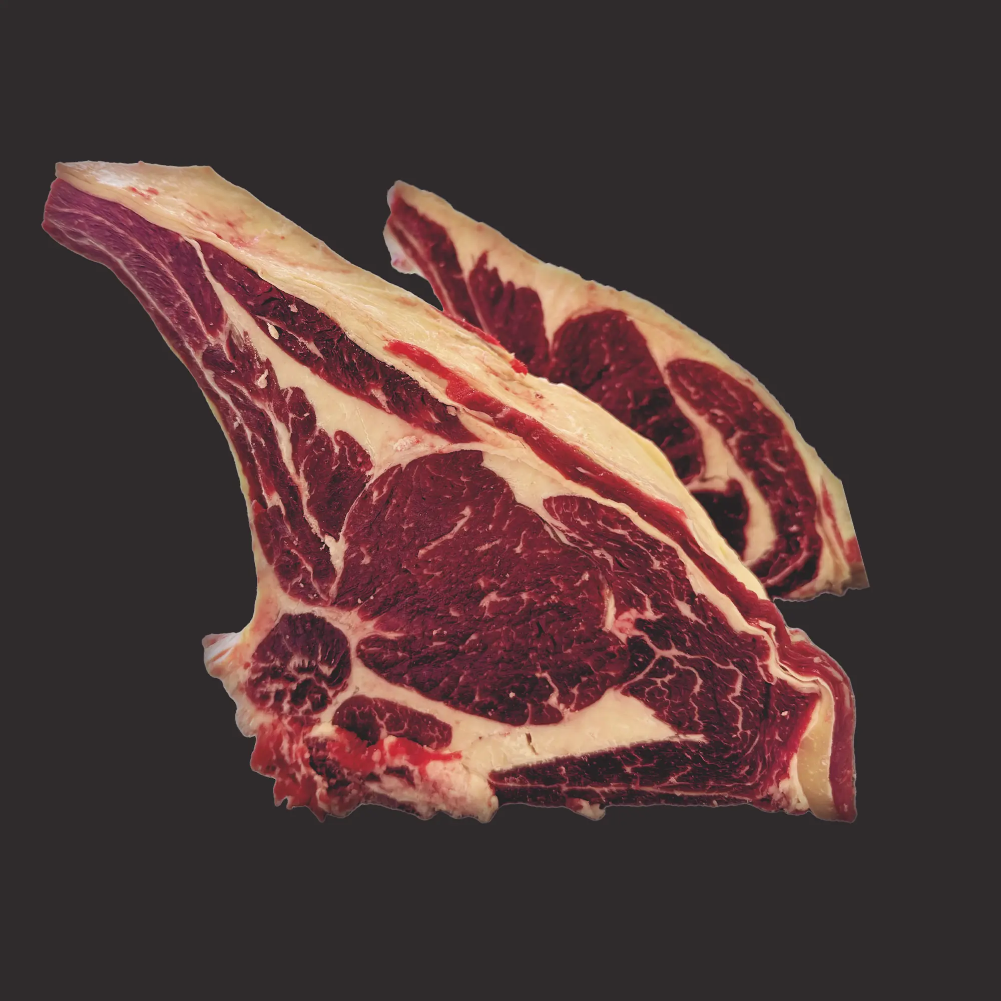 Race bovine Maraîchine
