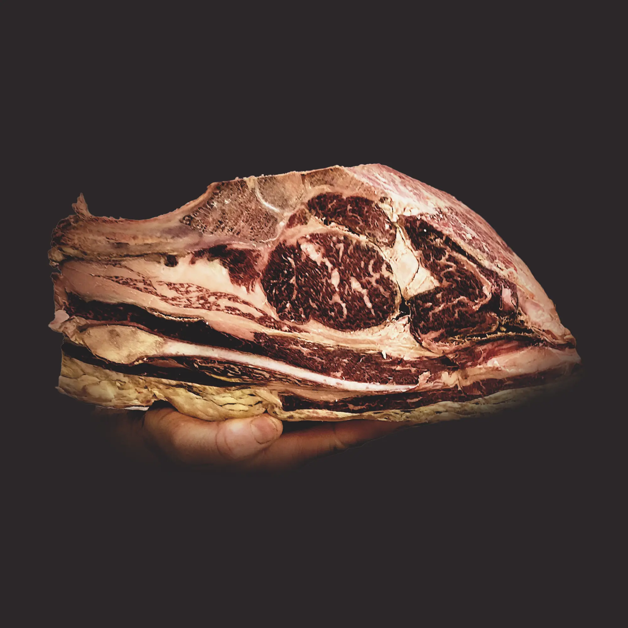 Race bovine Mirandesa