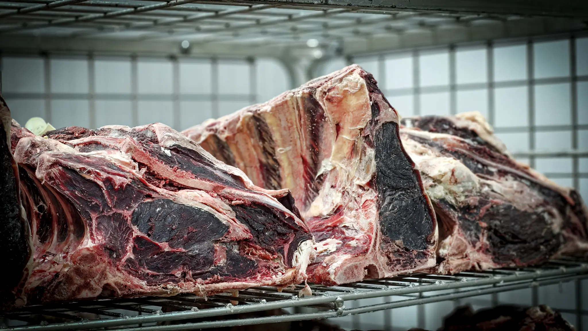 Maturation du bœuf