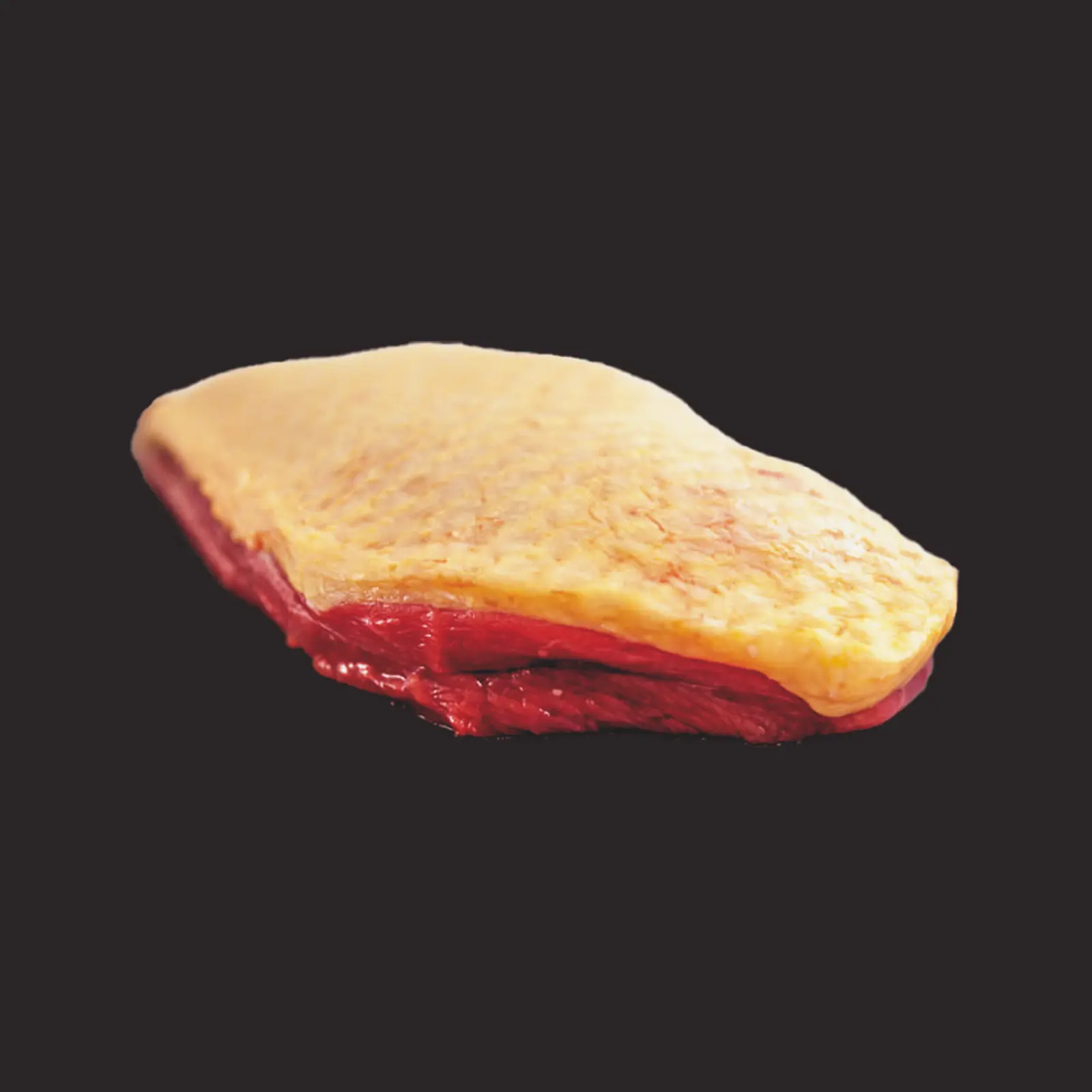 Filet de pigeonneau · France