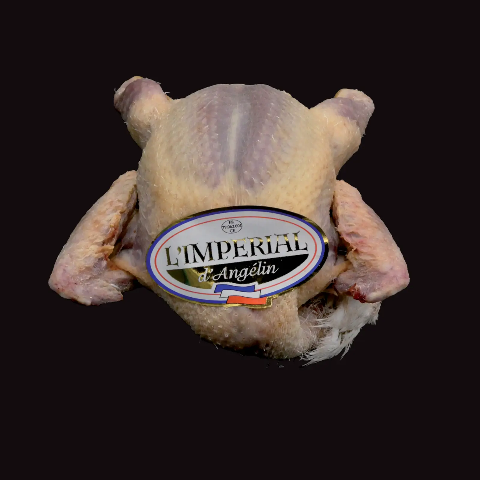 Pigeonneau PAC · L’Impérial d’Angelin · France
